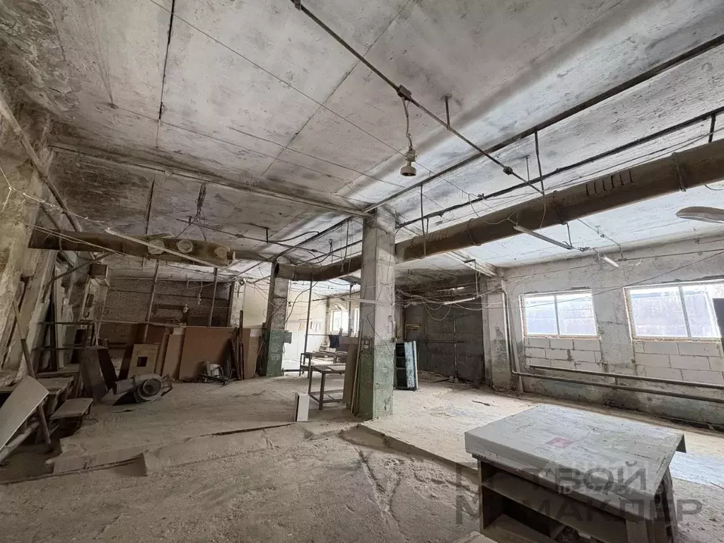 Производственное помещение в Пензенская область, Пенза ул. Измайлова, ... - Фото 2