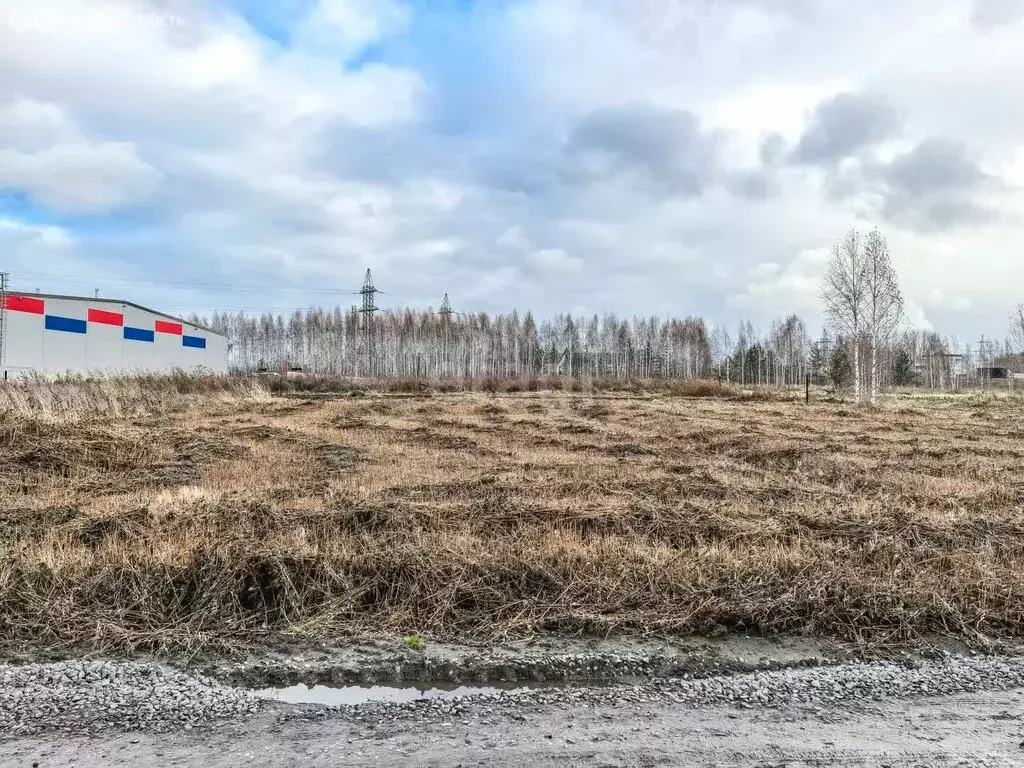 Участок в посёлок Садовый, улица 70 лет Победы (6 м) - Фото 1