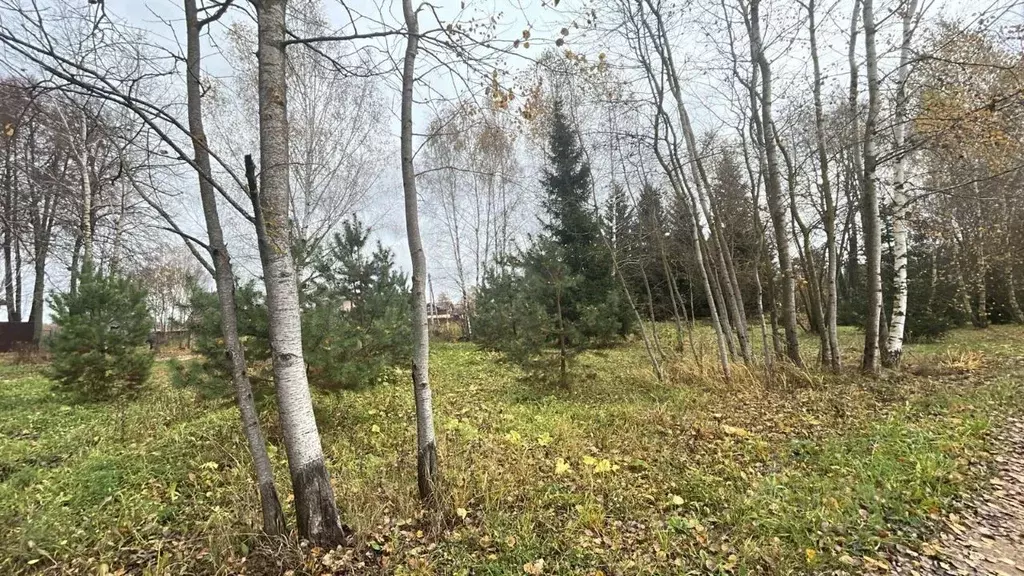 Участок в Московская область, Ступино городской округ, д. Чирково ул. ... - Фото 1