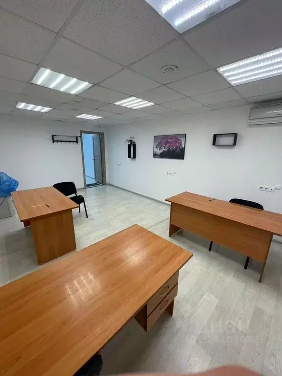 Помещение свободного назначения в Новосибирская область, Новосибирск ... - Фото 2