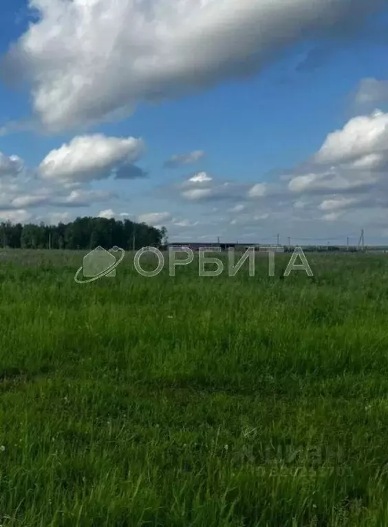 Участок, 12.5 сот., поселения (ижс) - Фото 0