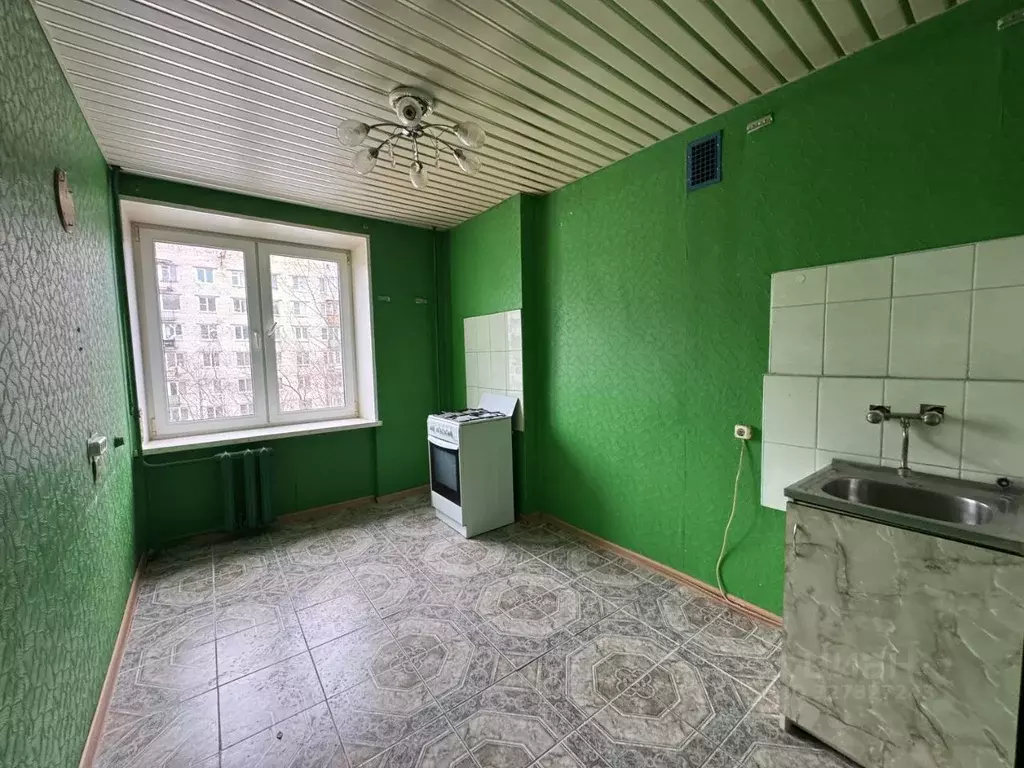 1-к кв. Санкт-Петербург ул. Стойкости, 15 (33.7 м) - Фото 1