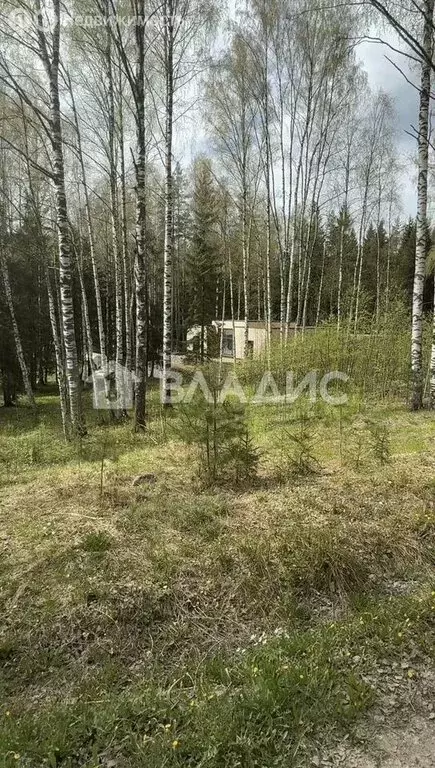 Участок в Сарженка, ДНП Лесной Хутор (10 м) - Фото 1