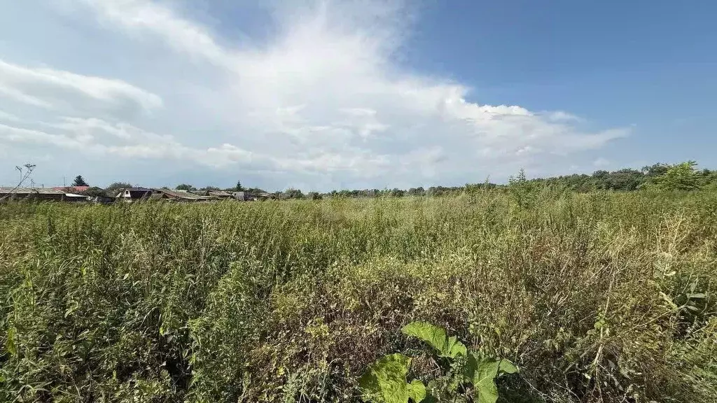 Участок в Башкортостан, Бирский район, Кусекеевский сельсовет, д. ... - Фото 2