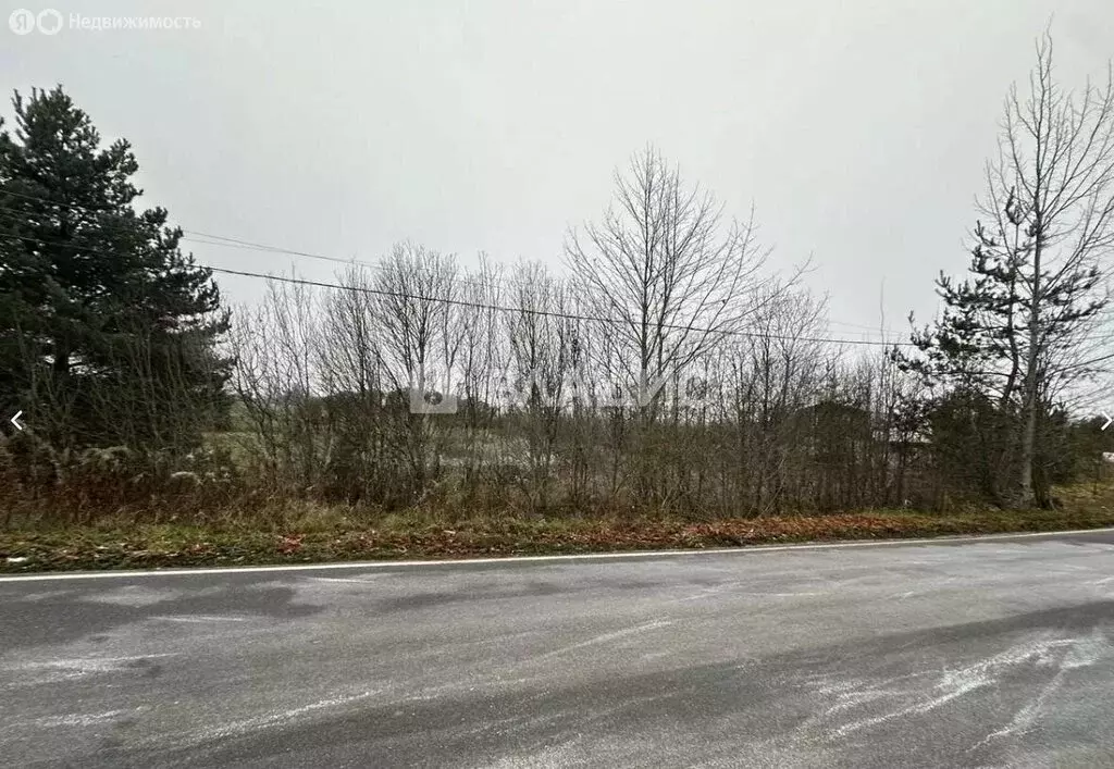 Участок в Приозерский район, Плодовское сельское поселение, посёлок ... - Фото 1