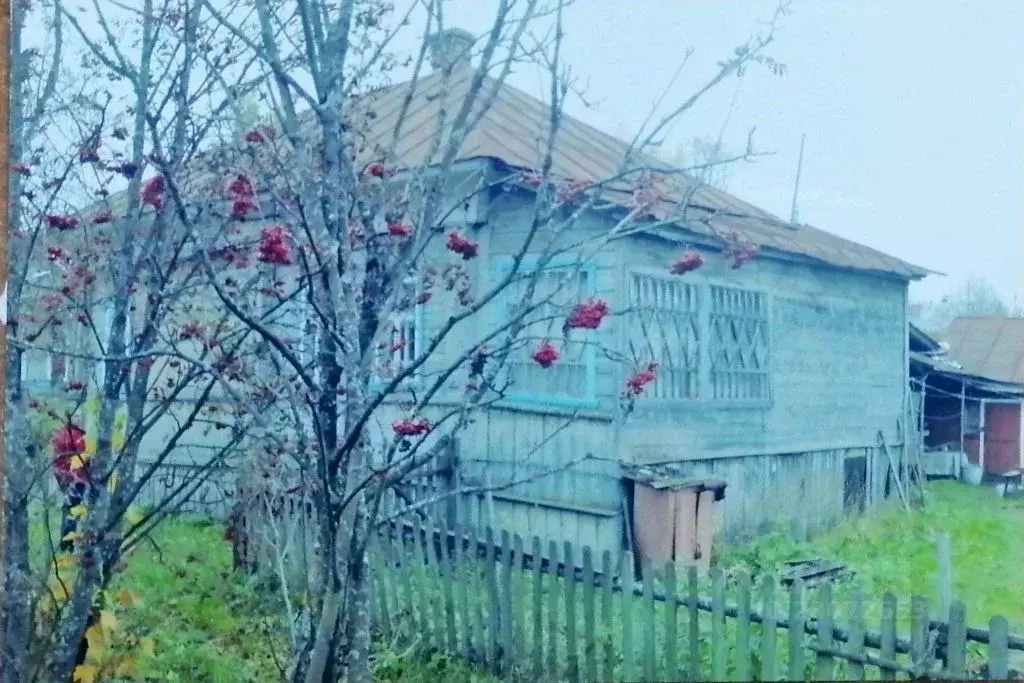Дом в Ивановская область, пос. Лух ул. Октябрьская, 61 (37 м) - Фото 0