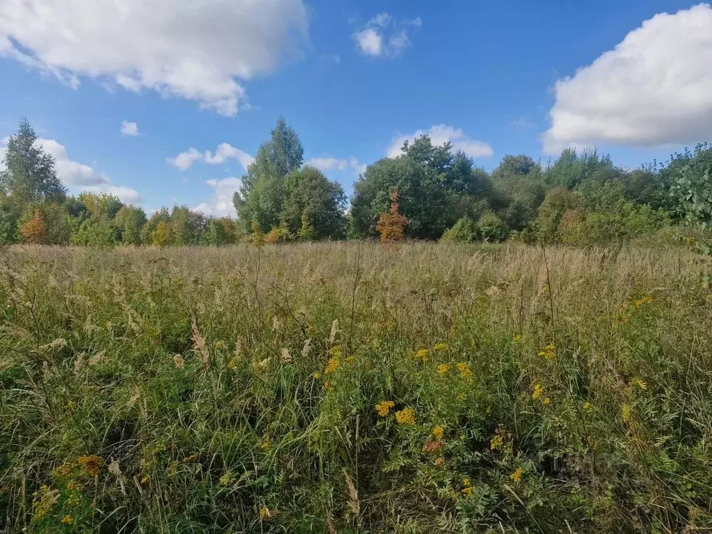 Участок в Московская область, Ступино городской округ, д. ... - Фото 1