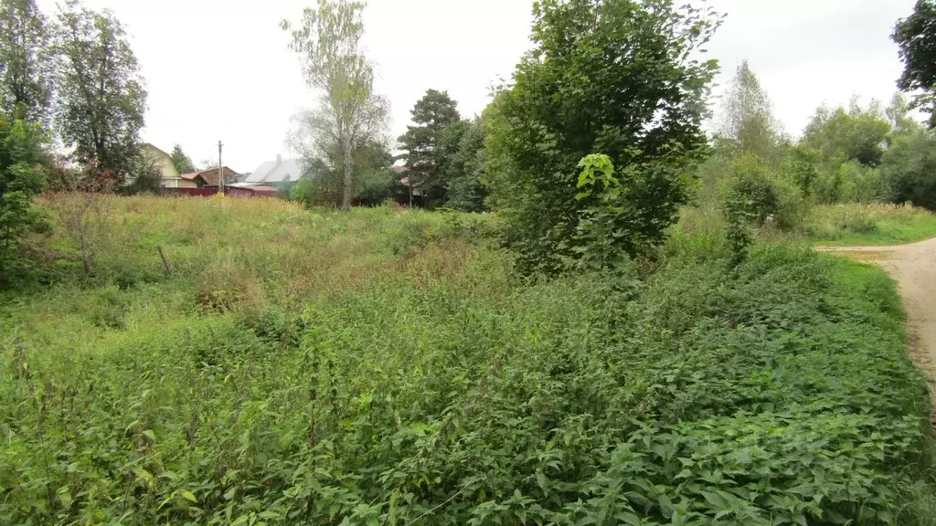 Участок в Московская область, Рузский муниципальный округ, д. ... - Фото 2