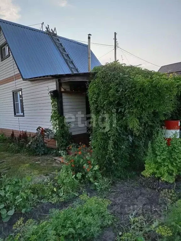 Дом в Курганская область, Курган Автомобилист СНТ,  (44 м) - Фото 0