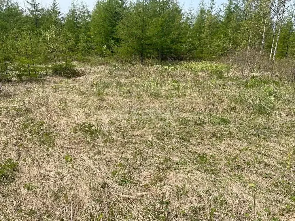 Участок в Сахалинская область, Южно-Сахалинск городской округ, с. ... - Фото 1