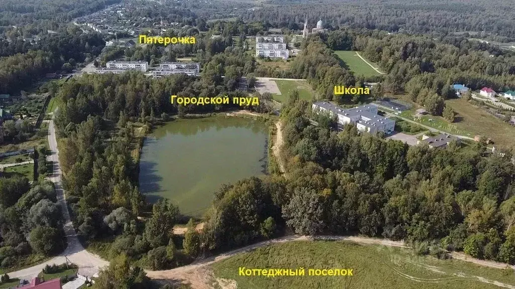 Участок в Московская область, Серпухов городской округ, Сосновый бор ... - Фото 2