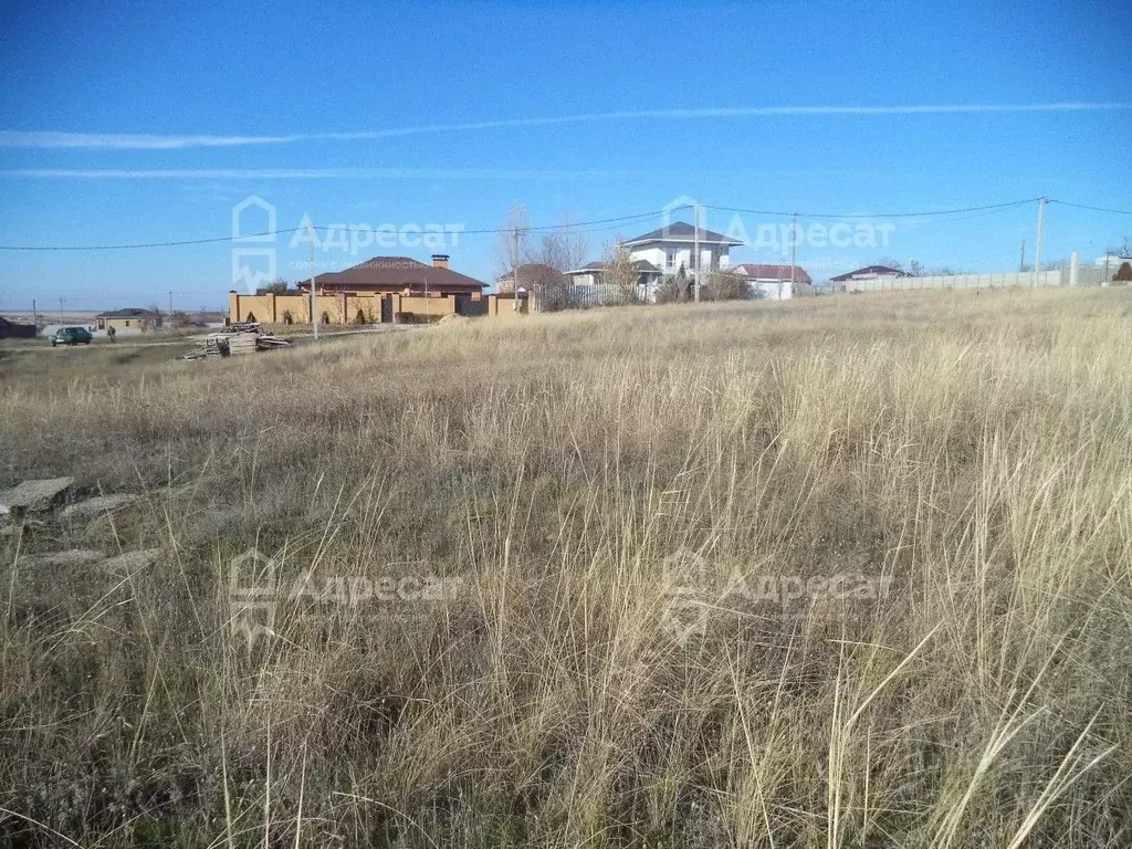 Участок в Волгоградская область, Городищенский район, Царицынское ... - Фото 2