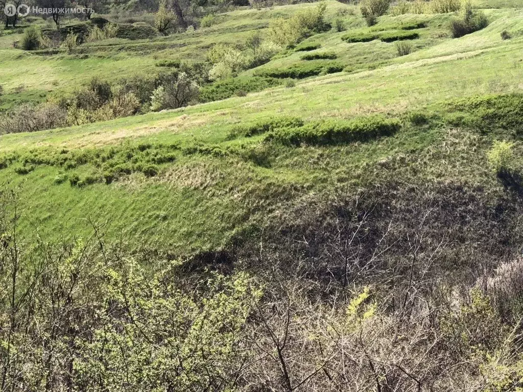 Участок в Новочеркасск, Епифановская улица, 6 (8 м) - Фото 0