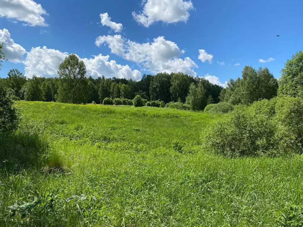 Участок в Нижегородская область, Богородский муниципальный округ, д. ... - Фото 2