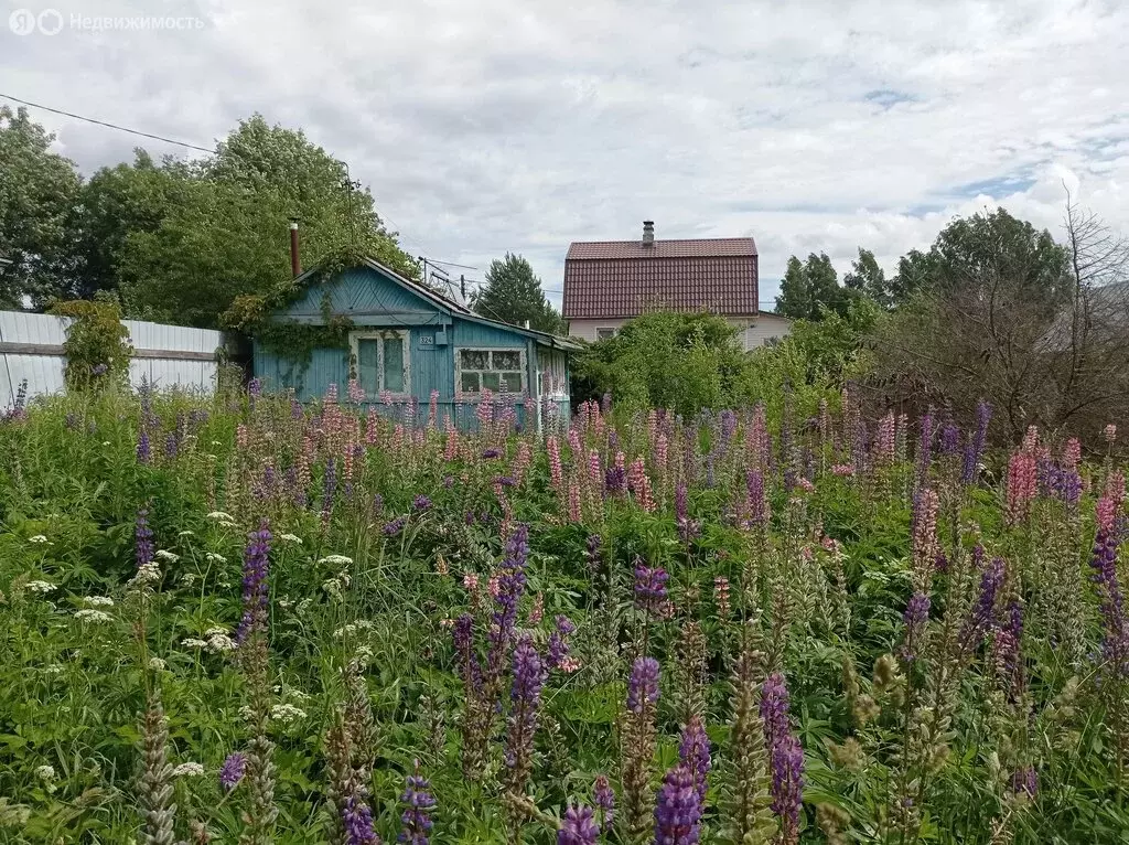 Участок в Сертоловское городское поселение, садоводческое ... - Фото 0