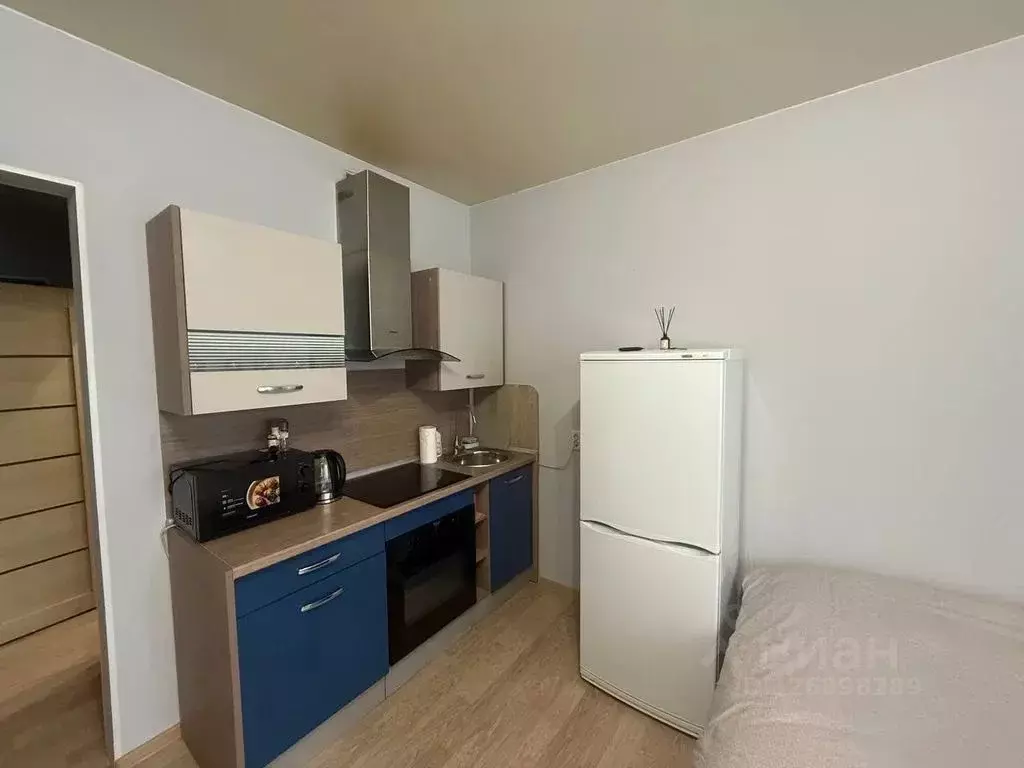 Студия Ленинградская область, Кингисепп ул. Воровского, 50к2 (30.0 м) - Фото 2