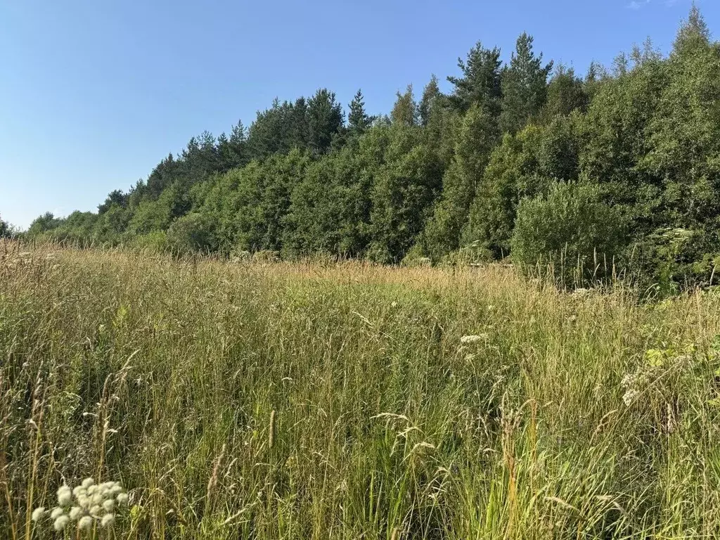 Участок в Ленинградская область, Кировский район, Суховское с/пос, ... - Фото 2
