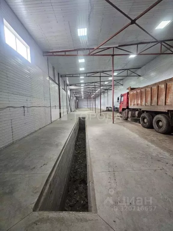 Помещение свободного назначения в Новосибирская область, Новосибирск ... - Фото 2