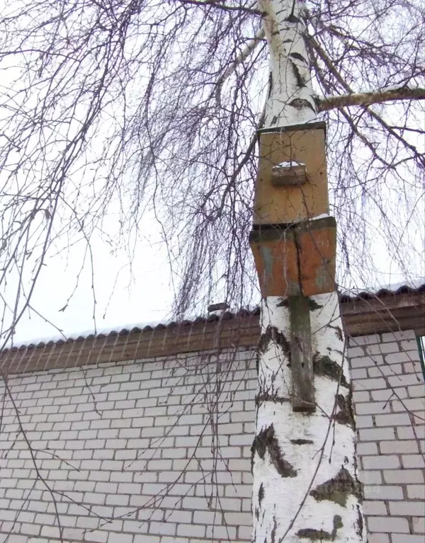 Дом в Ярославская область, Борисоглебский муниципальный округ, д. ... - Фото 2