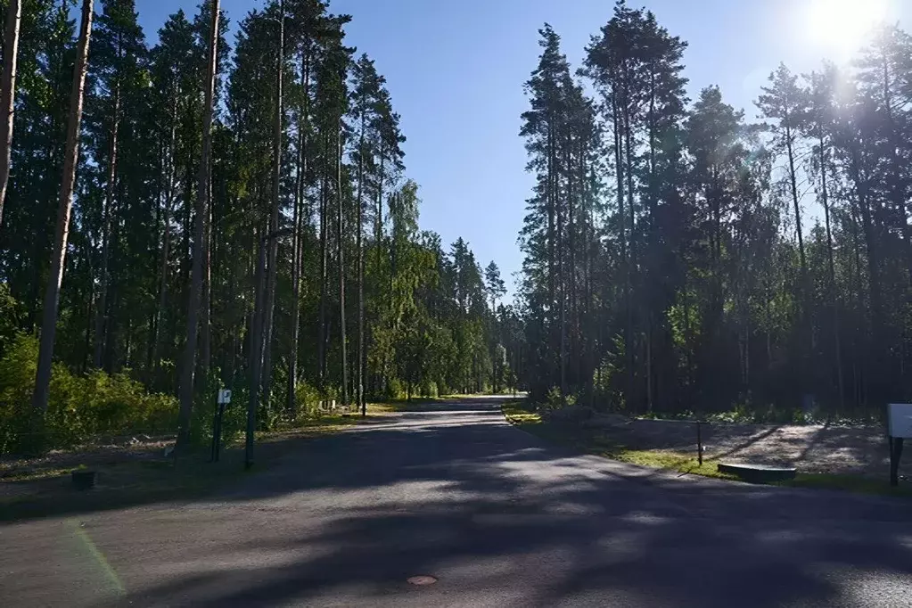 Участок, 12 сот., сельхоз (снт или днп) - Фото 0