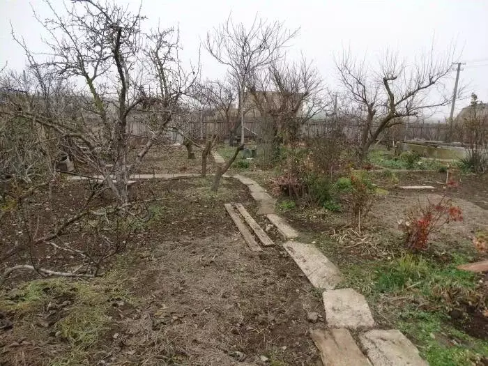 Участок в Крым, Сакский район, Суворовское с/пос, Надежда СНТ ул. Роз ... - Фото 1