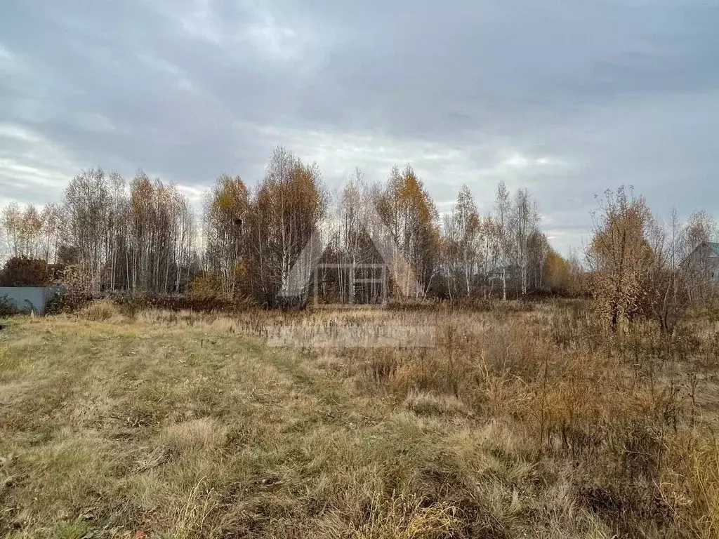 Участок в Челябинская область, Коркино ул. Новоселов (15.15 сот.) - Фото 1