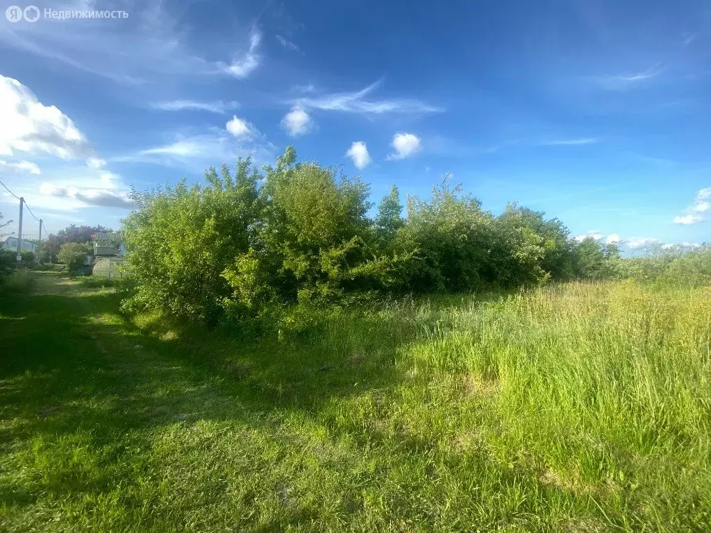 Участок в посёлок Моргуново, СНТ Баевка-2 (6 м) - Фото 0