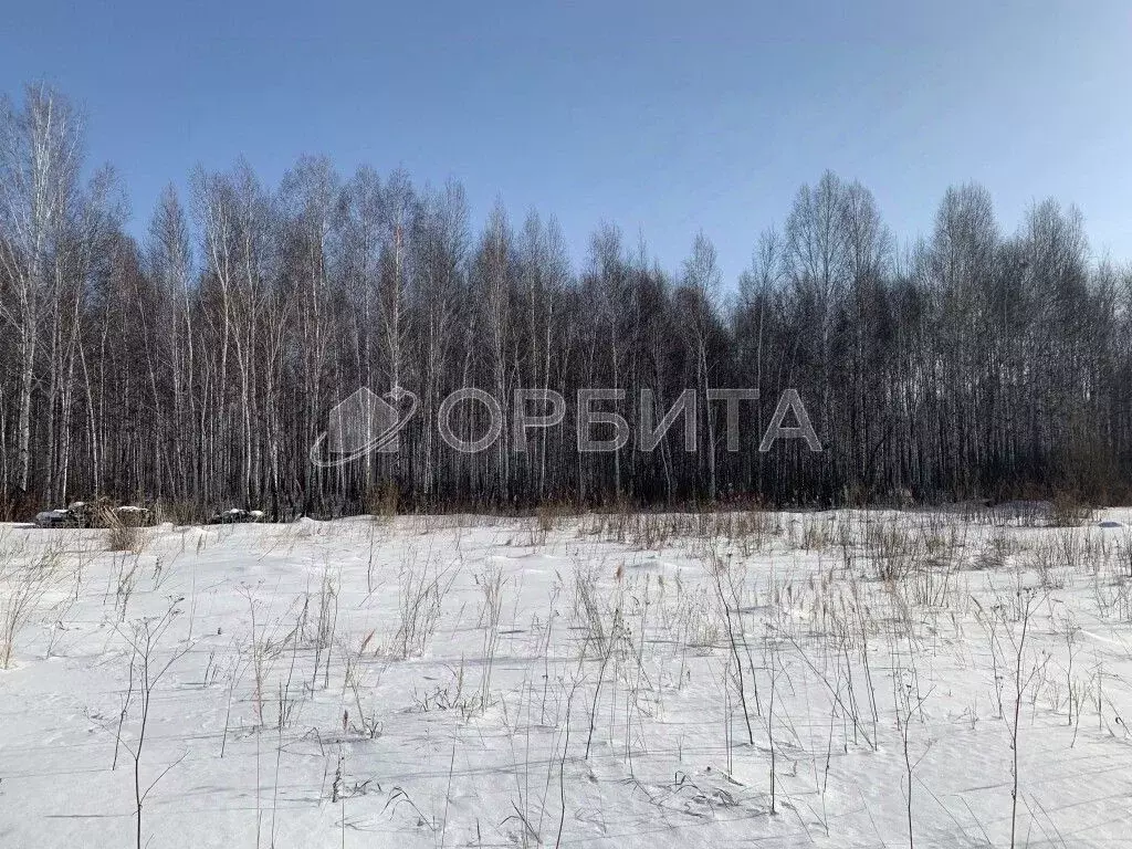 Участок в Тюменская область, Нижнетавдинский район, Стройтрансервис ... - Фото 1