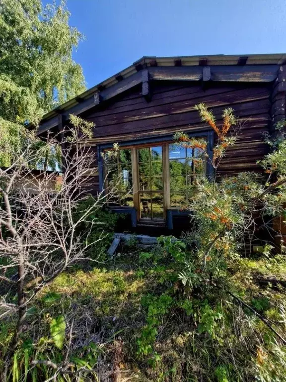 Дом в Иркутская область, Иркутский муниципальный округ, Светофор СНТ ... - Фото 1