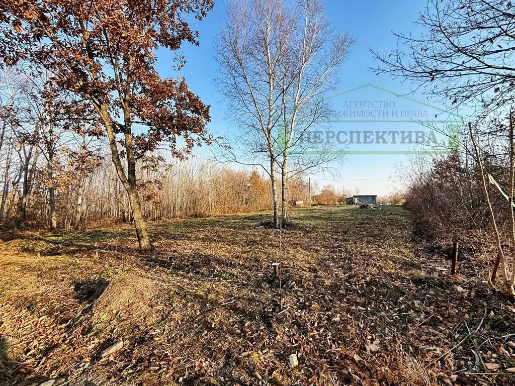 Участок в Приморский край, Артемовский городской округ, Искра СТ 12 ... - Фото 2