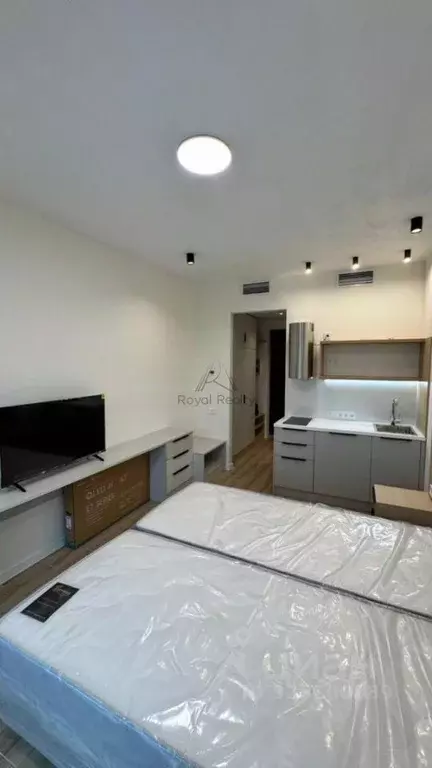 Студия Санкт-Петербург наб. Макарова, 58 (23.0 м) - Фото 1