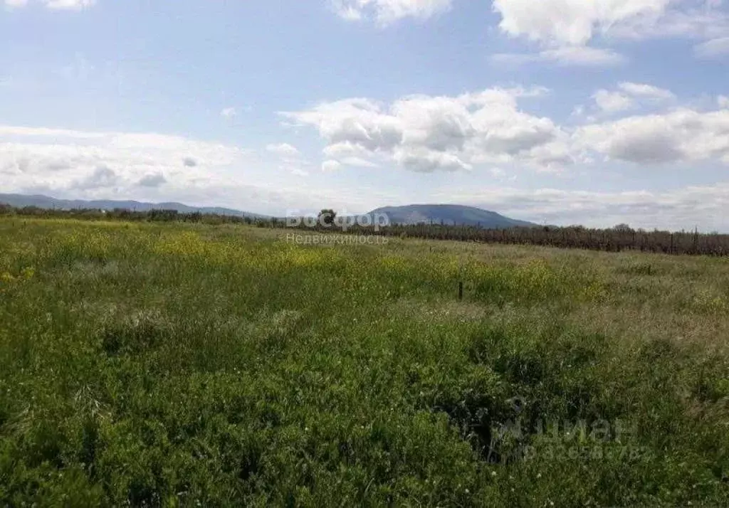 Участок в Крым, Кировский район, Журавское с/пос, с. Видное ул. ... - Фото 2