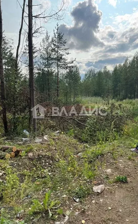 Участок в Ленинградская область, Всеволожское городское поселение, ... - Фото 1