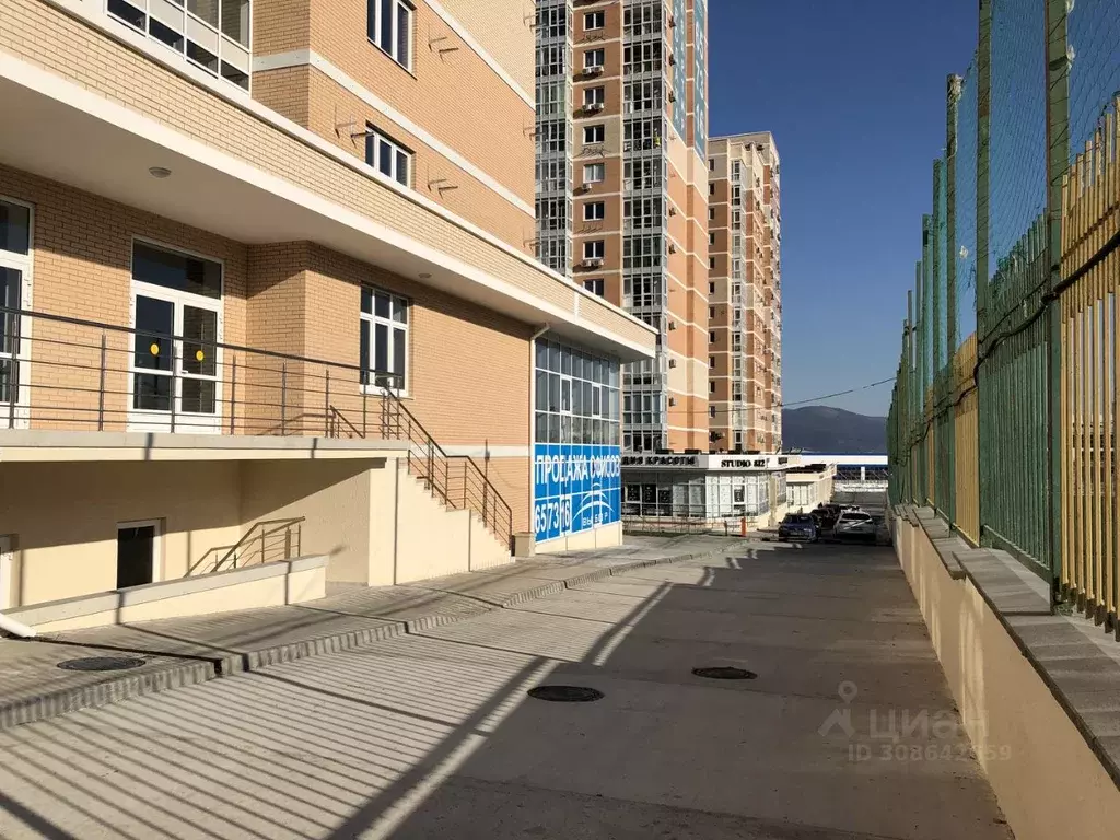Помещение свободного назначения в Краснодарский край, Новороссийск ... - Фото 1