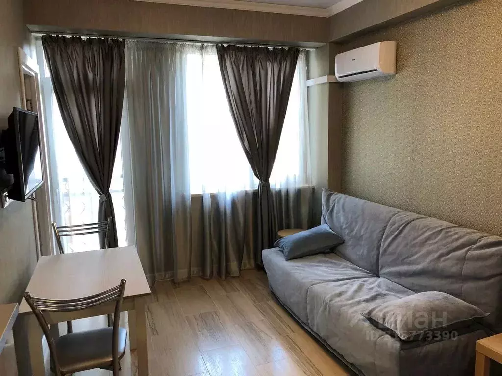 1-к кв. Краснодарский край, Сочи ул. Демократическая, 45 (27.0 м) - Фото 1