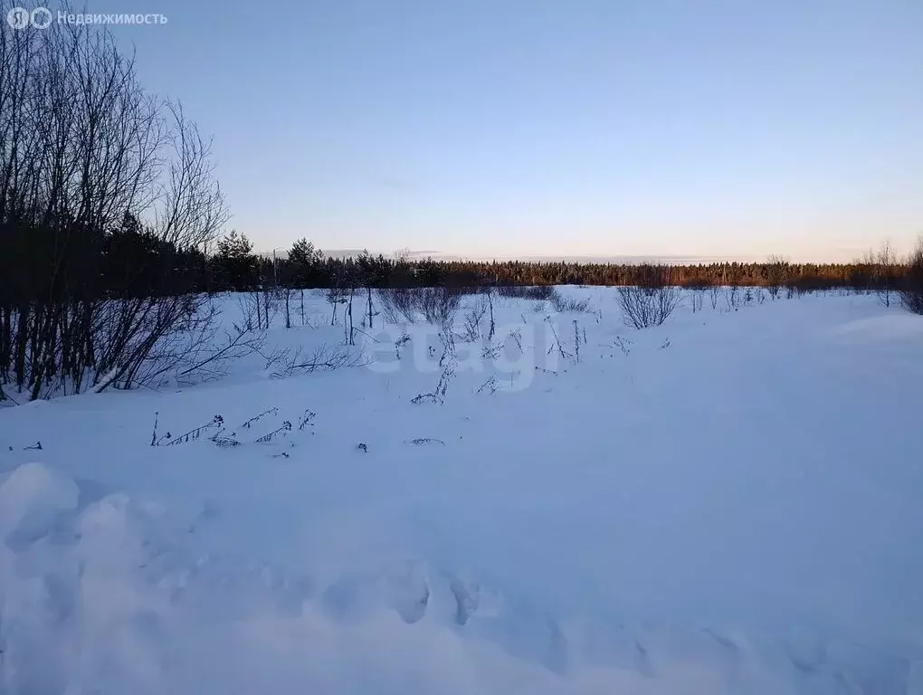 Участок в Вологодская область, Великоустюгский муниципальный округ, ... - Фото 1