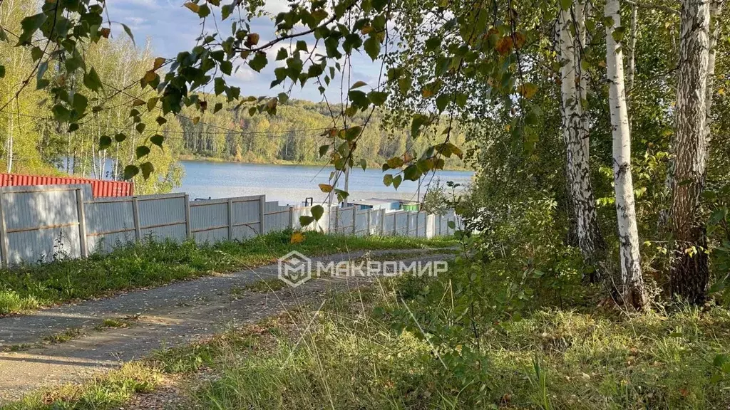 Участок в Новосибирская область, Новосибирский район, Березовский ... - Фото 1