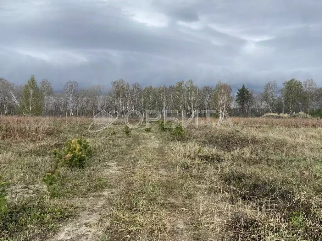 Участок в Тюменская область, Тюменский муниципальный округ, с. Каменка ... - Фото 1
