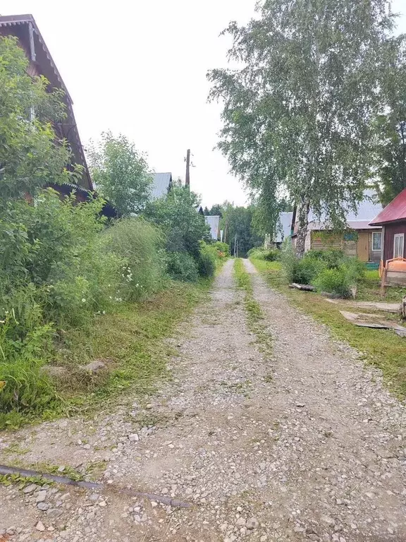 Дом 19,5 м на участке 6 сот. - Фото 1