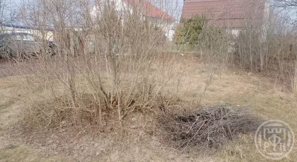 Участок в Ленинградская область, Всеволожский район, Кузьмоловское ... - Фото 2