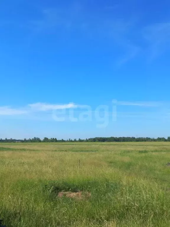 Участок в Тюменская область, Тюмень Ембаевское ТОО,  (6.1 сот.) - Фото 0