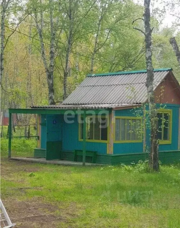 Участок в Бурятия, Кабанский район, Байкальский Прибой остановочный ... - Фото 1