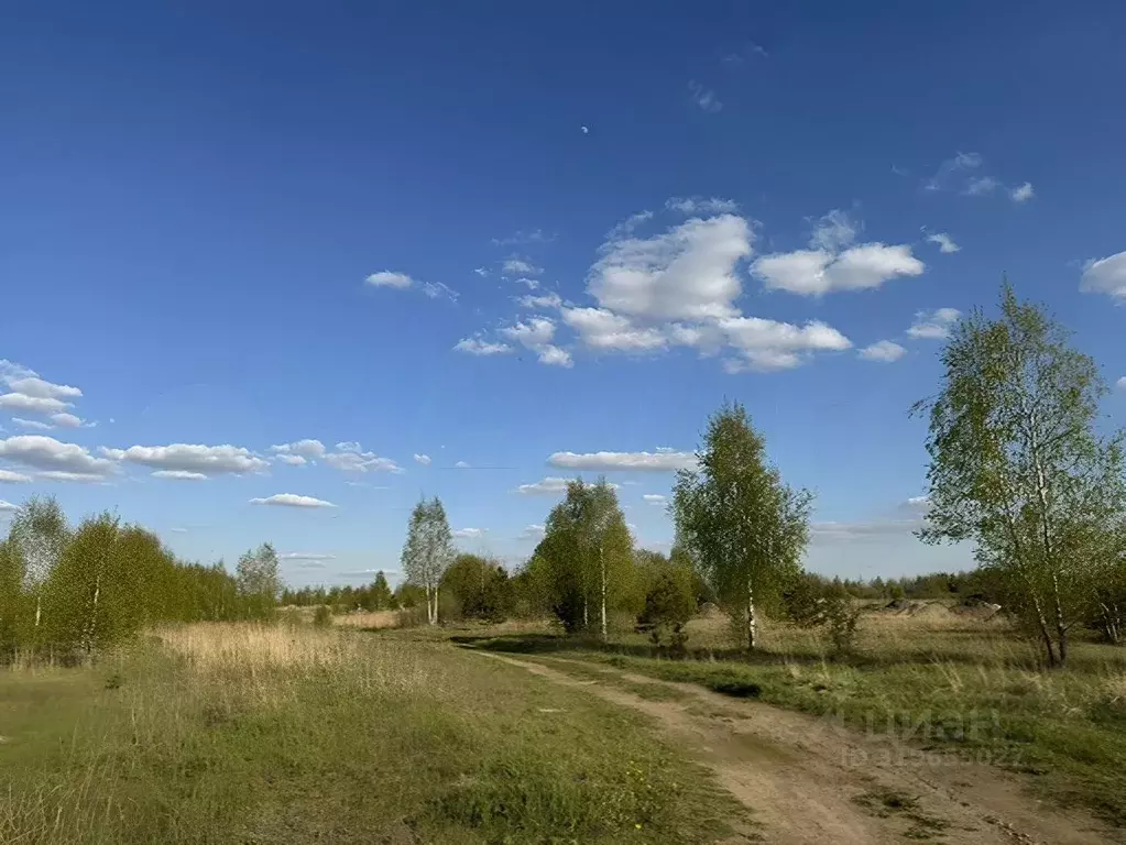 Участок в Московская область, Павлово-Посадский городской округ, д. ... - Фото 0
