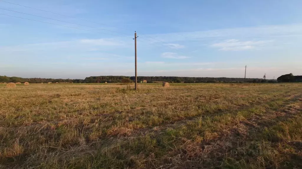 Участок в Ленинградская область, Тосненское городское поселение  ... - Фото 1