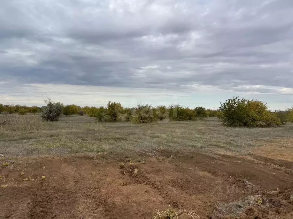 Участок в Крым, Сакский район, Ореховское с/пос, Грифон СНТ  (7.5 ... - Фото 2