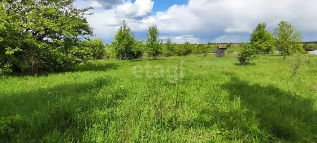 Участок в Рамонский район, Русскогвоздёвское сельское поселение, село ... - Фото 1