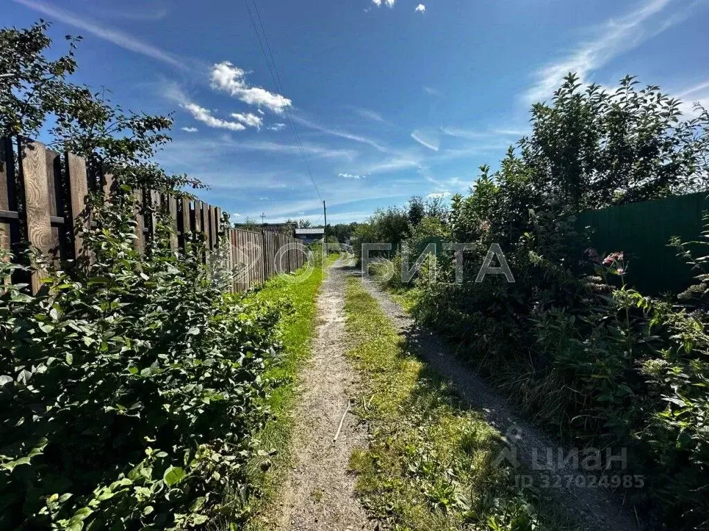 Участок в Тюменская область, Тюмень Автомобилист СНТ, ул. Рябиновая ... - Фото 1