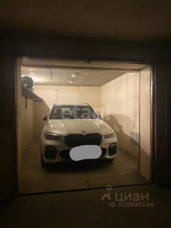 Гараж в Амурская область, Благовещенск ул. 50 лет Октября, 239 (21 м) - Фото 1