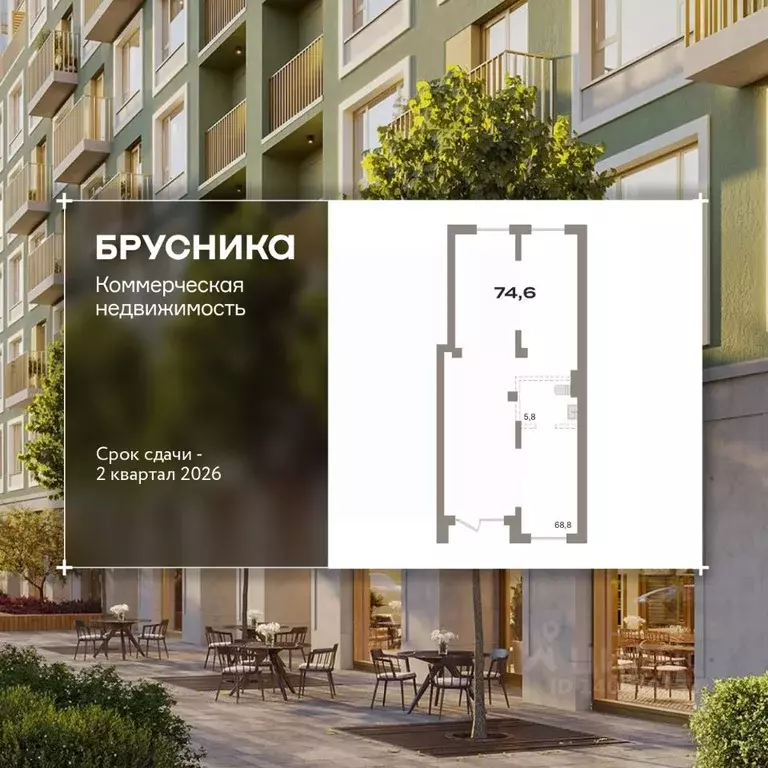 Помещение свободного назначения в Новосибирская область, Новосибирск ... - Фото 1