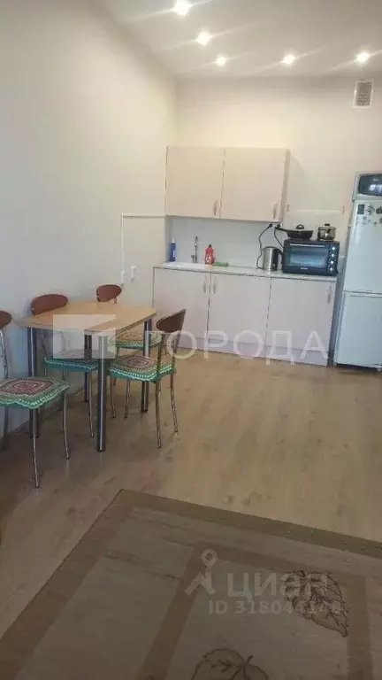 Студия Новосибирская область, Новосибирск ул. Виктора Уса, 4 (33.0 м) - Фото 0